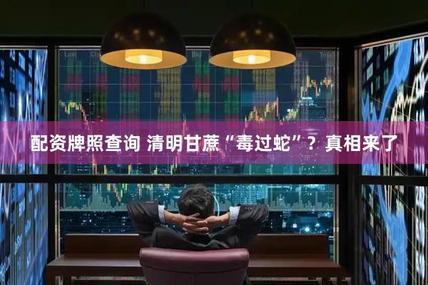 配资牌照查询 清明甘蔗“毒过蛇”？真相来了